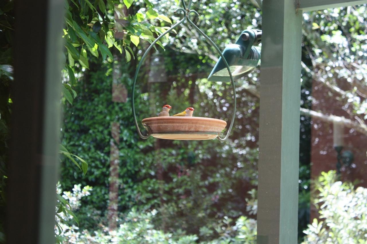 Mandalay House Bed & Breakfast Bellawongarah Exterior photo